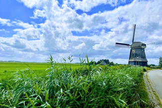 Molen (2)